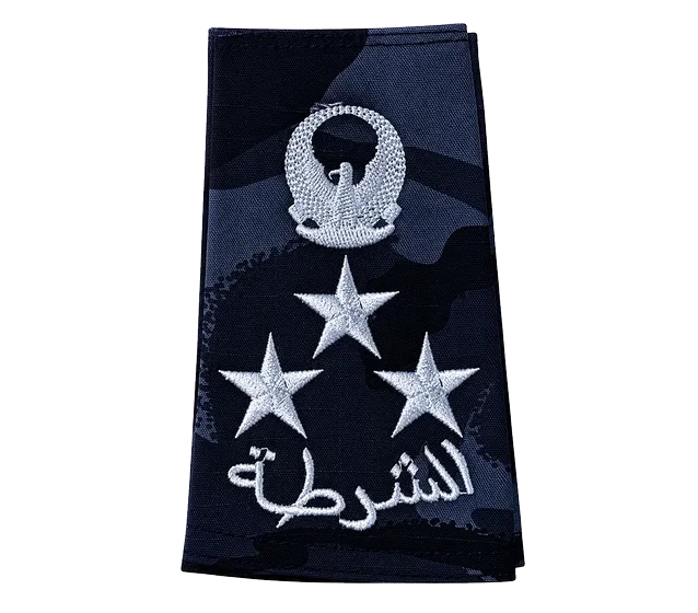 Blue-black camo rank &mdash; Brigadier
