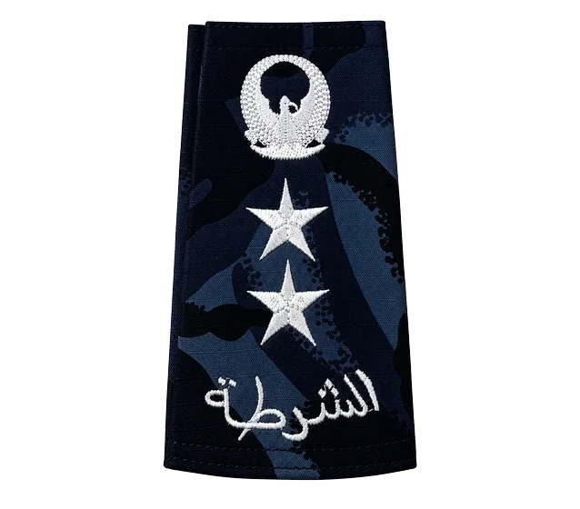 Blue-black camo rank &mdash; Colonel
