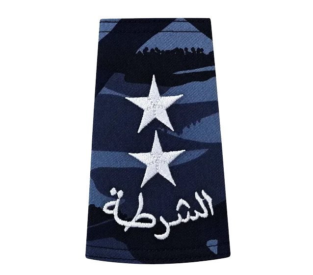Blue-black camo rank &mdash; 1st. Lieutenant