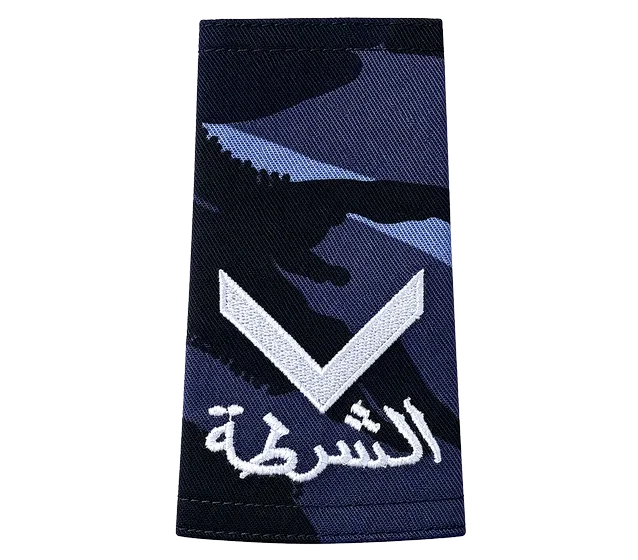 Blue-black camo rank &mdash; 1st. PoliceMan