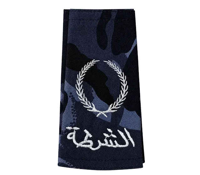 Blue-black camo rank &mdash; PoliceMan
