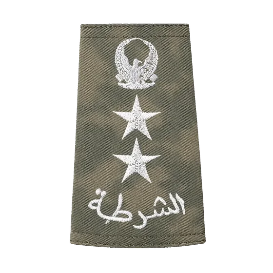 Desert camo rank &mdash; Colonel