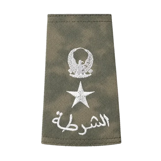 Desert camo rank &mdash; Lt. Colonel