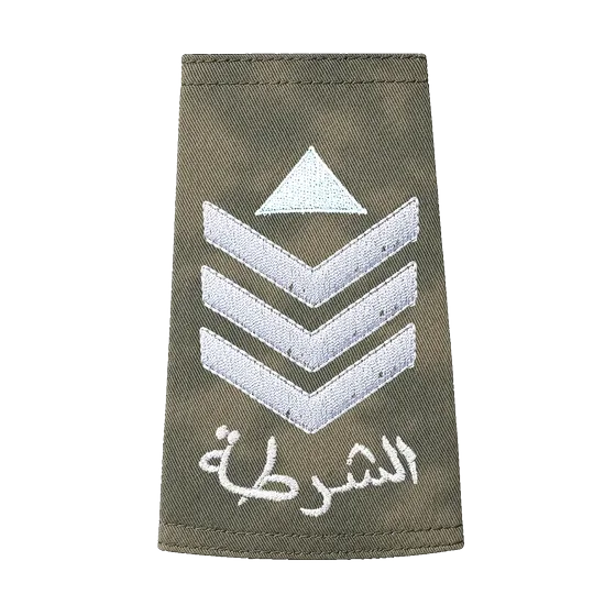 Desert camo rank &mdash; 1st. Sergeant