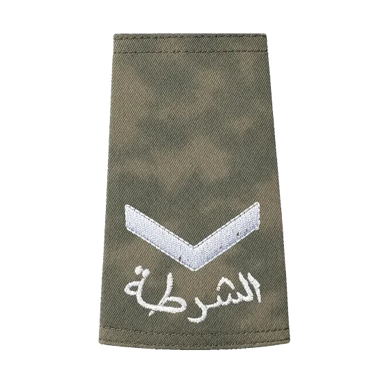 Desert camo rank &mdash; 1st. PoliceMan
