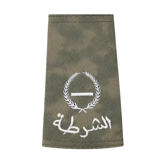 Desert camo rank &mdash; Lance Corporal