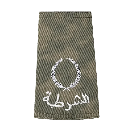 Desert camo rank &mdash; PoliceMan