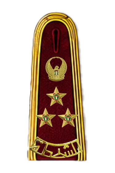 Officer burgundy ceremonial epaulette &mdash; Brigadier