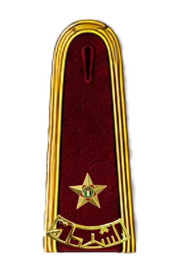 Officer burgundy ceremonial epaulette &mdash; Lieutenant