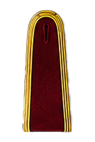 Officer burgundy ceremonial epaulette &mdash; Warrant Officer